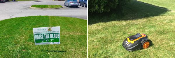 Left: Comparison between 3″ mowing and 2″ mowing at Curtis Lumber, one of Lake Champlain Sea Grant's business partners. Photo: Julia Szymanski Raise the Blade research plot and Mo, the robotic lawnmower
